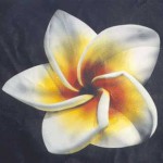 I was commissioned by a client to airbrush a flower on a Tire Cover for his wife's SUV. This is the end result.