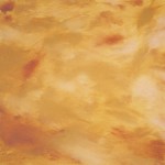 This is a sample board of a Faux/Texture called Tourtise Shell. I painted this for a client proposal.